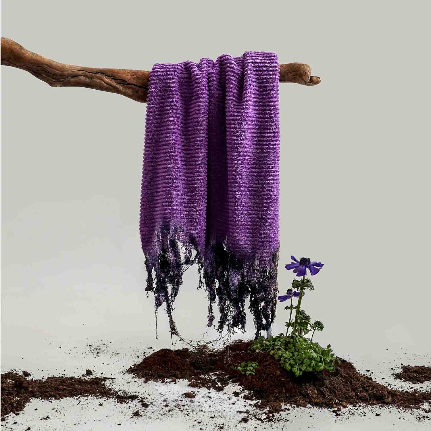 Lila Handtuch hängt über Ast, unterhalb Erde mit grünen Pflanzen und violetten Blüten, Hintergrund hell.